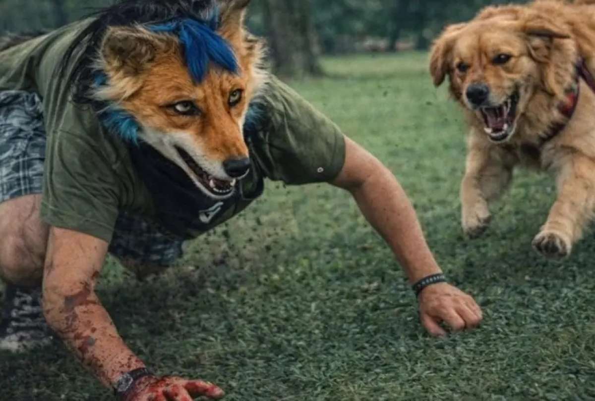 El hecho ocurri&oacute; en plena v&iacute;a p&uacute;blica en C&oacute;rdoba. 