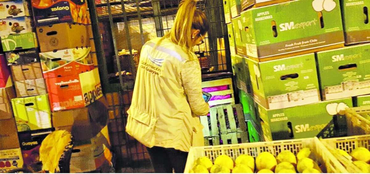 El operativo de control de la Intendencia y Senae se desarroll&oacute; en el mercado mayorista Montebello. No se registraron inconvenientes.