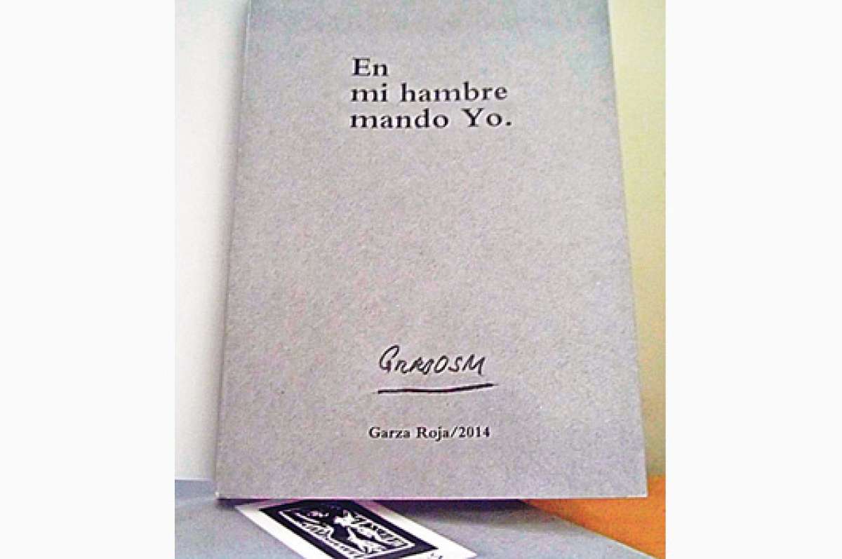 Libro de Ram&oacute;n Sonnenholzner Murrieta