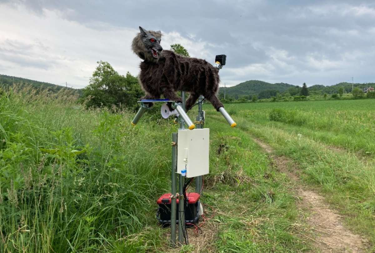 'Monster Wolf', el temido robot lobo que planta cara a los ataques de osos en Jap&oacute;n