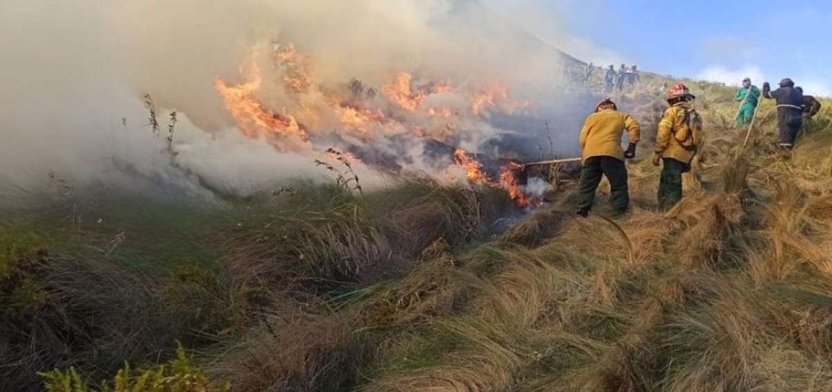 Incendio de Mojanda quema m&aacute;s de 700 hect&aacute;reas en Pichincha