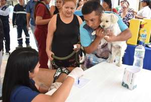 Este viernes habrá brigadas médicas gratuitas para perros y gatos en varios puntos de Guayaquil.