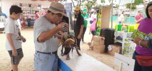 Las propietarios de perros fueron los mayores asistentes del &ldquo;Festivanimal Guayaquil&rdquo;, que se desarrolla por s&eacute;ptima ocasi&oacute;n en el pa&iacute;s.