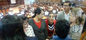 Ayer continu&oacute; el debate sobre el proyecto de Ley Org&aacute;nica para la Protecci&oacute;n del Empleo en la Asamblea.