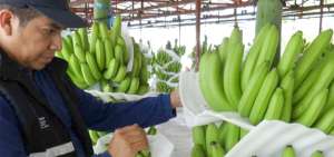 Las certificaciones en comercio justo, salario digno y cuidado ambiental destacan al Ecuador.