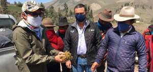 Productores de Chimborazo recibieron alimento para el ganado.