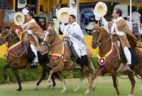 En Quito se realizará un evento con caballos de paso peruanos