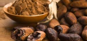 El precio internacional de la tonelada de cacao cae $ 700