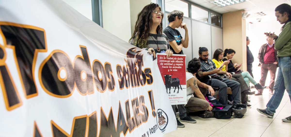 Integrantes de los grupos propulsores de la iniciativa antitaurina acudieron ayer al Consejo de Participaci&oacute;n.