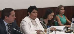 La oficialista Mar&iacute;a Jos&eacute; Carri&oacute;n preside la Comisi&oacute;n de Fiscalizaci&oacute;n de la Asamblea. 