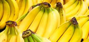 Banano ecuatoriano lleg&oacute; a Brasil tras 20 a&ntilde;os de restricci&oacute;n