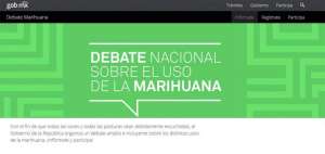 Los usuarios pueden acceder a la plataforma visitando el sitio: www.gob.mx/debatemarihuana. 
