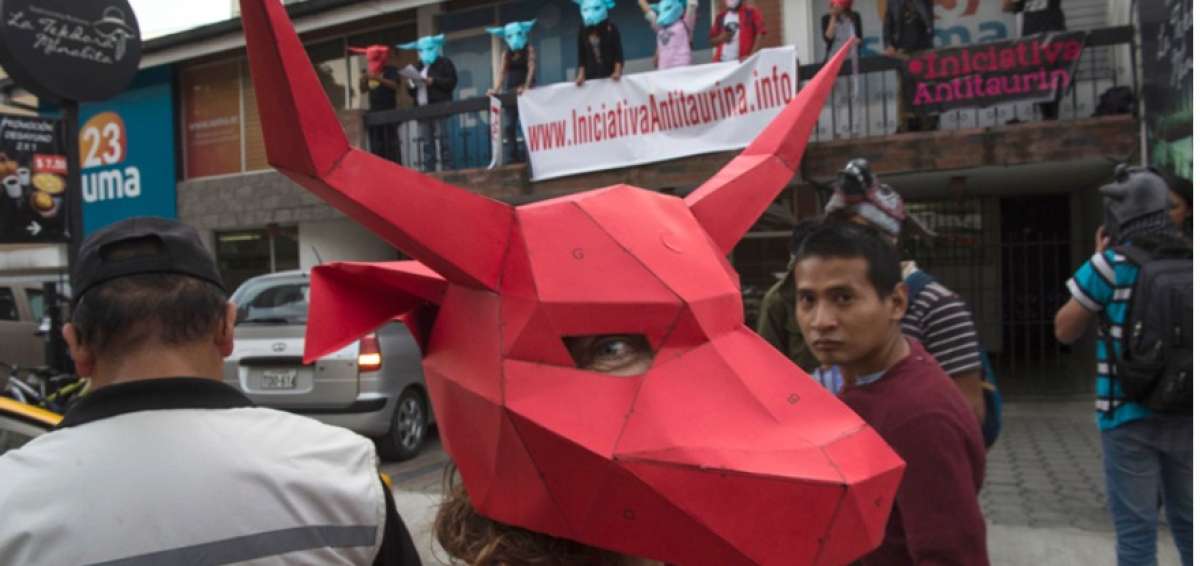 Concejo de Quito tramita proyecto antitaurino por presi&oacute;n judicial