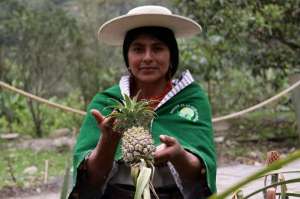 Ganaderos y agricultores de Tisaleo presentar&aacute;n proyectos al Magap