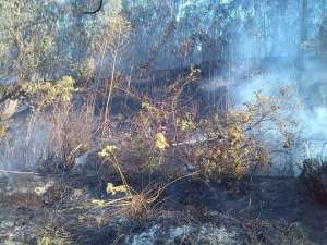 Un conato de incendio en el redondel del ciclista fue oportunamente controlado por personal del Cuerpo de Bomberos de Quito. Foto: Tomada del twitter