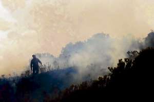 El fuego habr&iacute;a iniciado a las 19:00 del s&aacute;bado y fue controlado al mediod&iacute;a de ayer. Tres cantones de Pichincha e Imbabura fueron afectados. Foto: cortes&iacute;a William Castelo