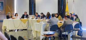 Los miembros de la Comisi&oacute;n sesionaron durante cinco horas. Al final, de los 12 integrantes, solo dos se abstuvieron de aprobar el informe.