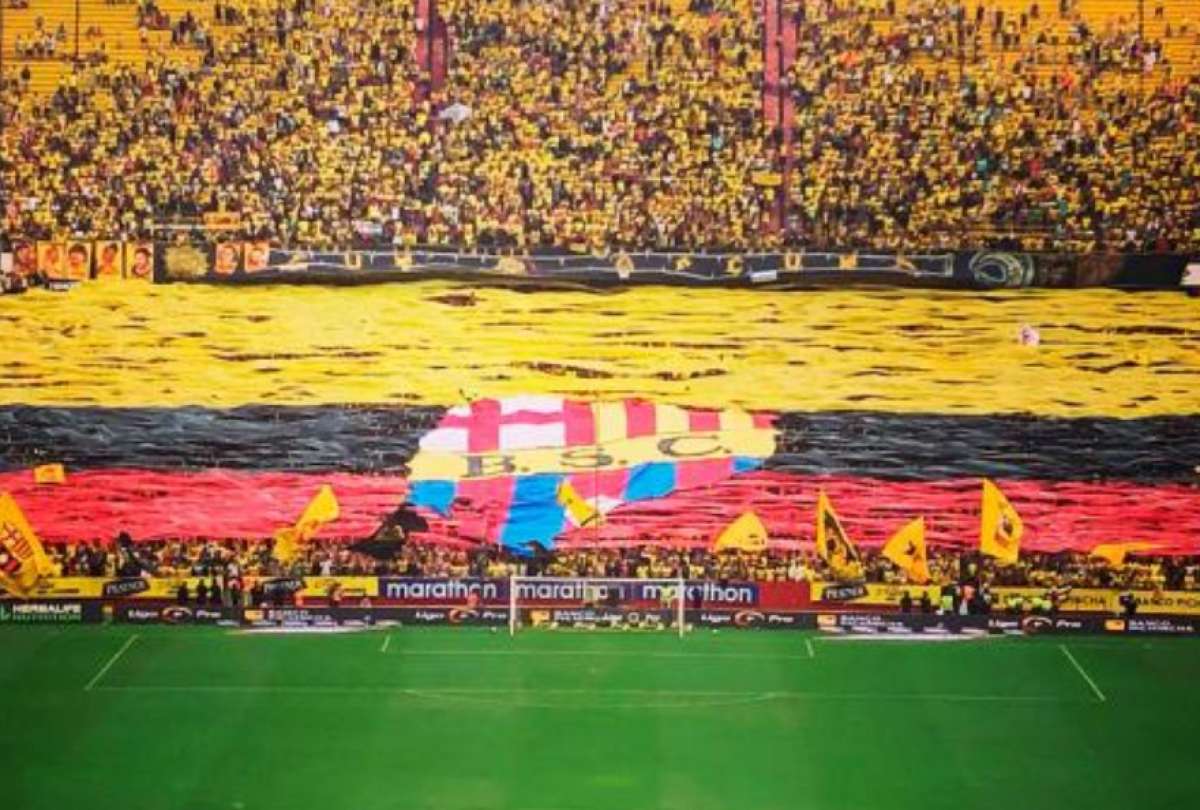 Hinchas de la Tricolor adaptaron un cántico de la barra Sur Oscura.
