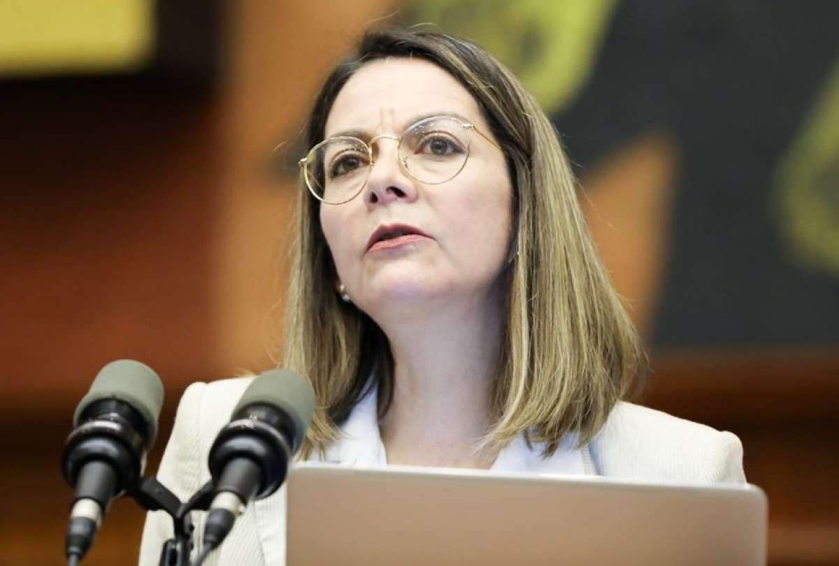Ximena Garzón expuso su defensa ante el pleno de la Asamblea Nacional.