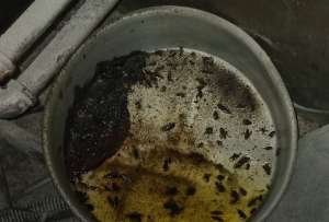 Las panader&iacute;as clausuradas en Quito registraban condiciones insalubres y riesgos para los consumidores.