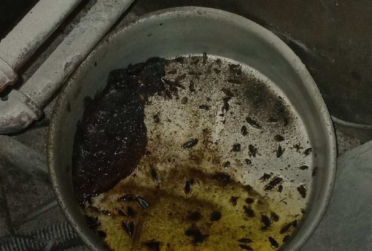 Las panader&iacute;as clausuradas en Quito registraban condiciones insalubres y riesgos para los consumidores.