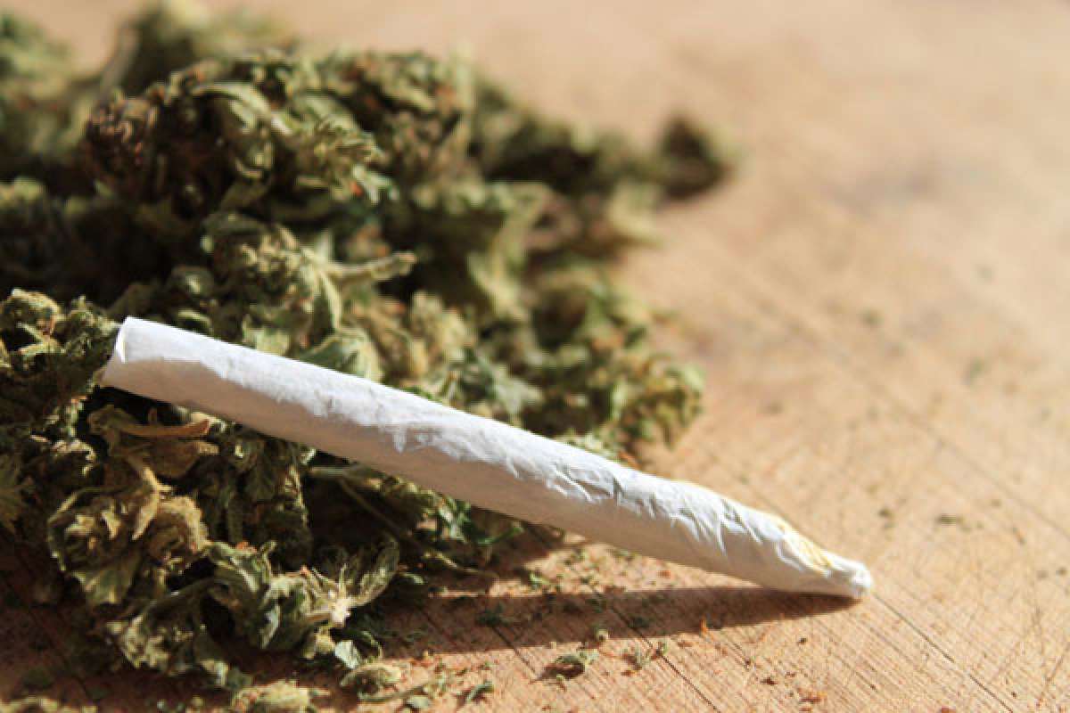 78,9 millones de europeos de 15 a 64 a&ntilde;os han experimentado con la cannabis en su vida, FOTO: Internet 