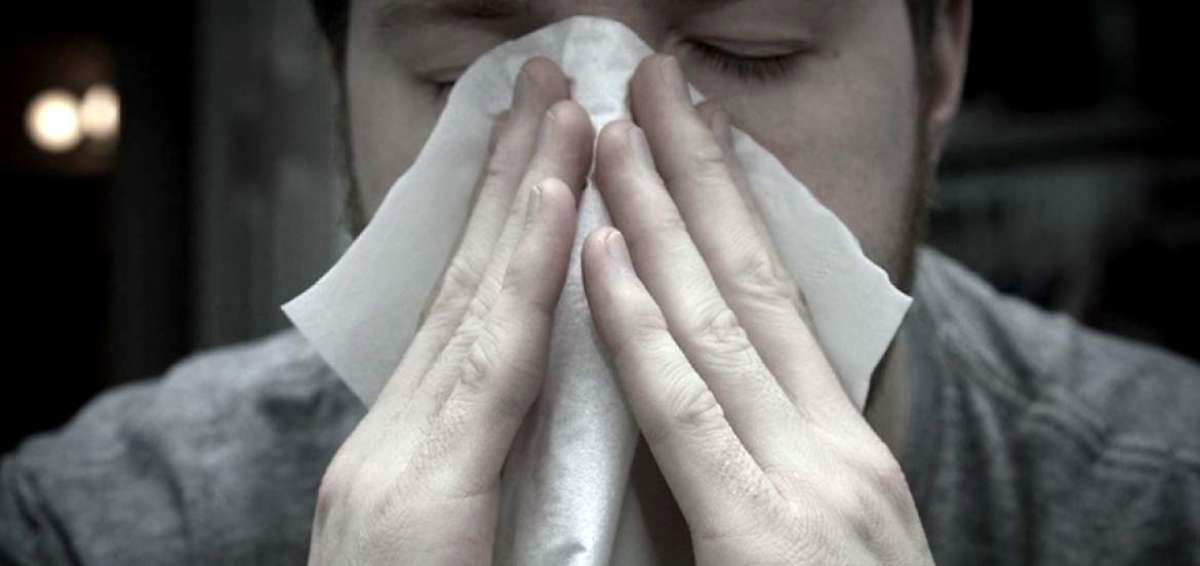 M&aacute;s de 1.000 millones de personas en el mundo sufre de alg&uacute;n tipo de alergia