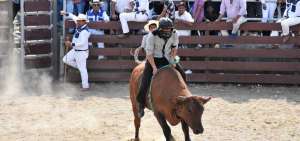 El rodeo se realiz&oacute; en la modalidad texana, es decir, con toros como medida de prevenci&oacute;n por el posible brote de influenza equina.