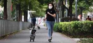 La mayor&iacute;a de pa&iacute;ses han levantado parcialmente sus restricciones, pero es necesario seguir con las normas de higiene y portar la mascarilla.