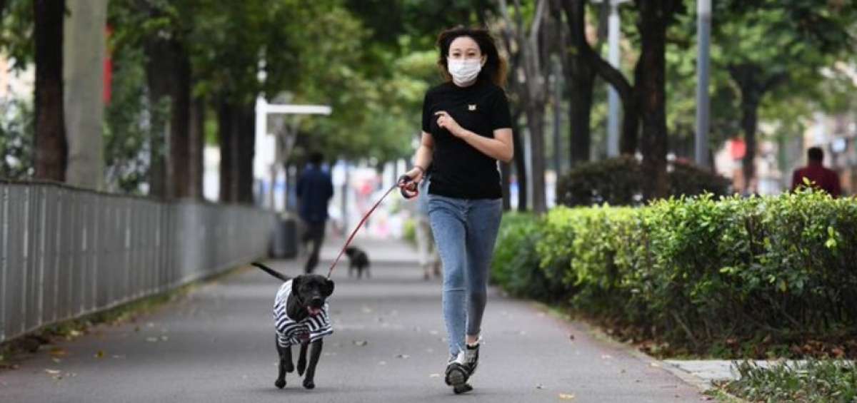 La mayor&iacute;a de pa&iacute;ses han levantado parcialmente sus restricciones, pero es necesario seguir con las normas de higiene y portar la mascarilla.