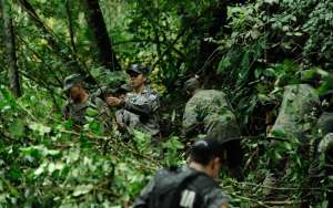 Polic&iacute;as y  militares hacen recorridos en zonas rurales para destruir plantas de coca, amapola y marihuana. Foto: Marco Salgado / El Tel&eacute;grafo