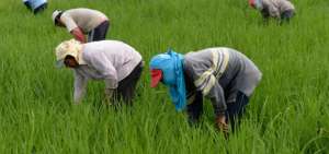 Ministerio de Agricultura inicia la entrega de 42.200 kits agr&iacute;colas