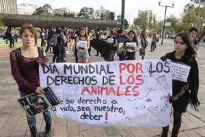 Los j&oacute;venes portaron afiches y camisetas negras en se&ntilde;al de luto de los cientos de animales que mueren todos los d&iacute;as en el mundo. Foto: Daniel Molineros / El Tel&eacute;grafo