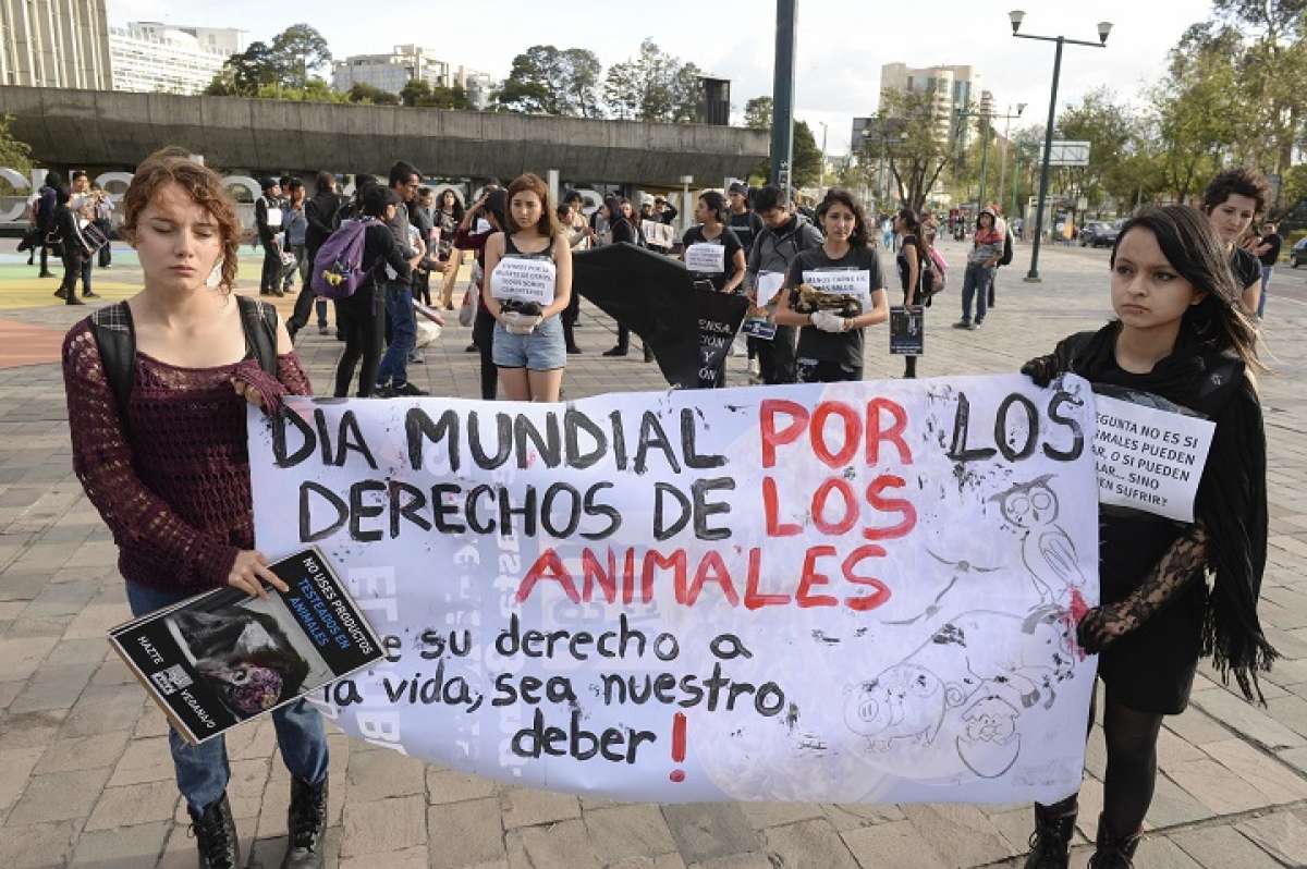 Los j&oacute;venes portaron afiches y camisetas negras en se&ntilde;al de luto de los cientos de animales que mueren todos los d&iacute;as en el mundo. Foto: Daniel Molineros / El Tel&eacute;grafo