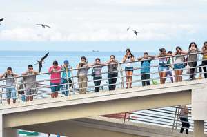 Foto: Rodolfo P&aacute;rraga / El Tel&eacute;grafo