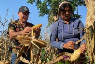 El Ministerio de Agricultura señaló que quiere evitar la especulación de precios con la medida.