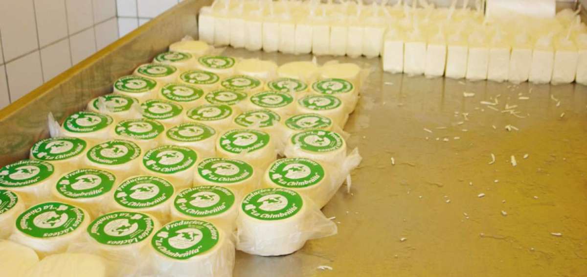 Entre 2014 y 2015, la producci&oacute;n de leche cruda habr&iacute;a experimentado un incremento de 3,5%.