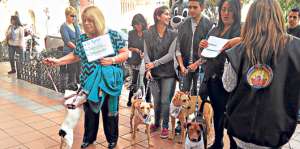 Cuencanos que pertenecen a organizaciones protectoras de animales alistan una marcha junto a sus canes. Foto: Diana Vera/ El Tel&eacute;grafo