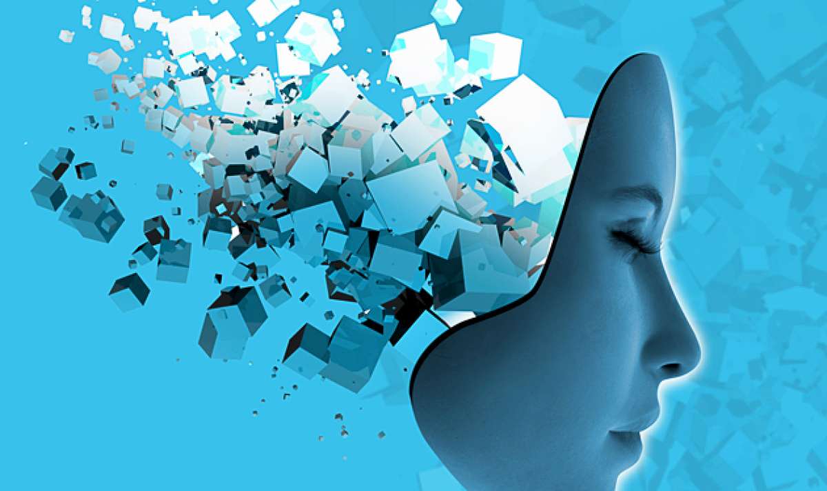 El cerebro, la nueva frontera de la ciencia
