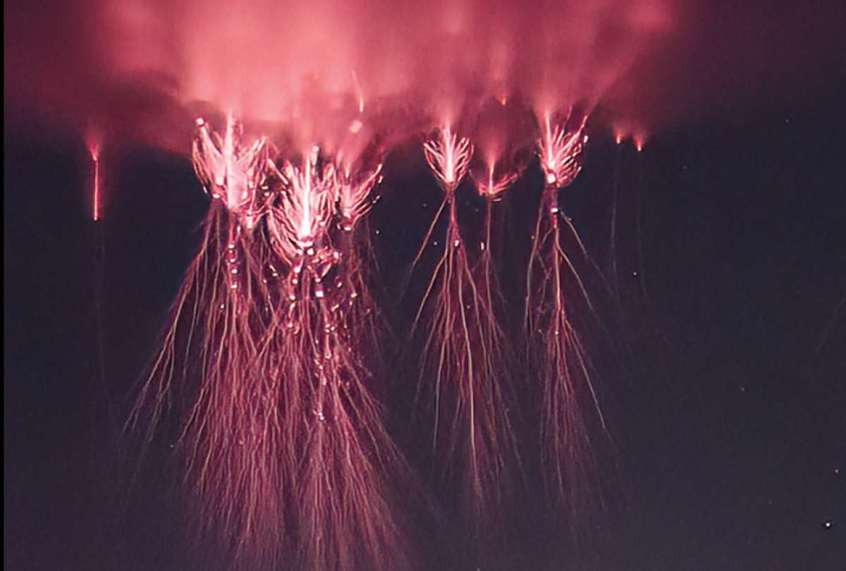 Fenómenos eléctricos raros y fugaces (similares a duendes rojos) fueron captados en Francia, según la NASA