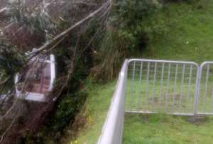 En el Teleférico se registró la caída de un árbol.