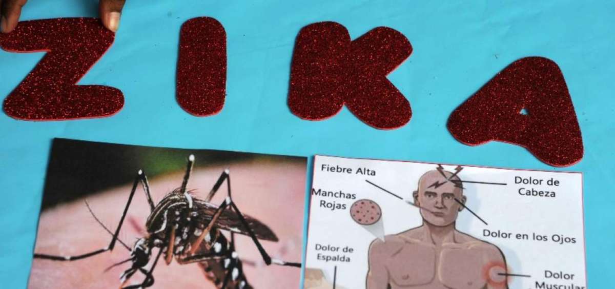 La OMS lanza llamado para recaudar $ 56 millones en lucha contra zika