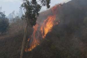 M&aacute;s de 8.000 hect&aacute;reas de bosques se quemaron en Pichincha. Foto: Miguel Jim&eacute;nez/ EL TEL&Eacute;GRAFO