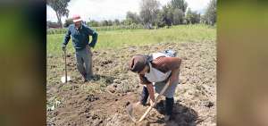 Los esfuerzos por evitar la devaluaci&oacute;n de papa contemplan concienciaci&oacute;n a los productores de la regi&oacute;n y evitar el ingreso del tub&eacute;rculo del norte.
