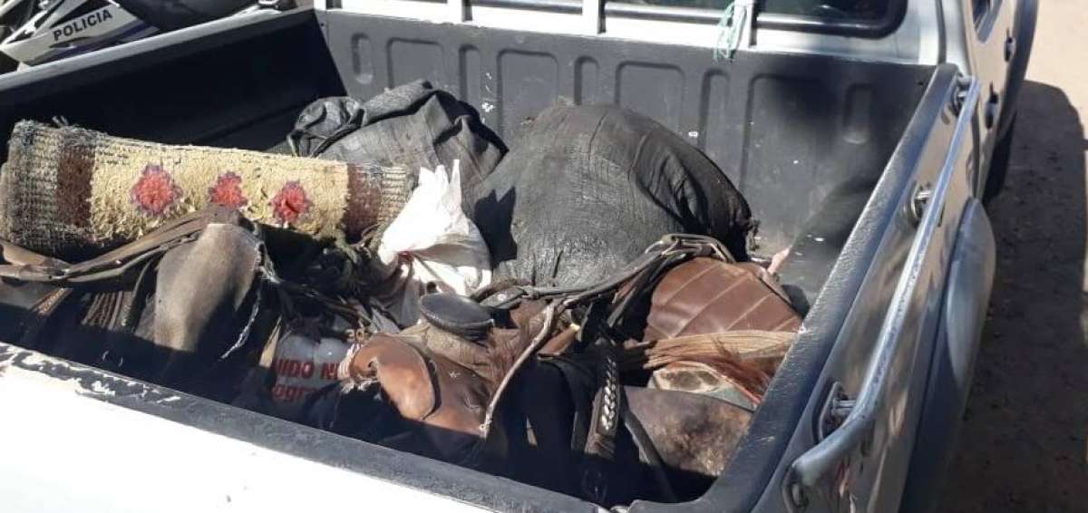 La Polic&iacute;a encontr&oacute; 26 kilos de truchas pescadas en la reserva Antisana.
