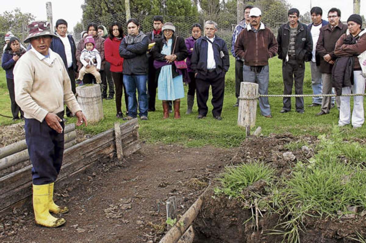La manera de cultivar los productos es una proridad para los asociaciados que promueven una oferta libre de agroqu&iacute;micos. Foto: Roberto Ch&aacute;vez / El Tel&eacute;grafo