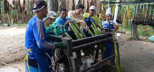 En el uso del rodillo deben trabajar unas 8 personas para exprimir del tallo de la fruta del banano y sacarle el l&iacute;quido. Este proceso dura alrededor de 3 minutos.