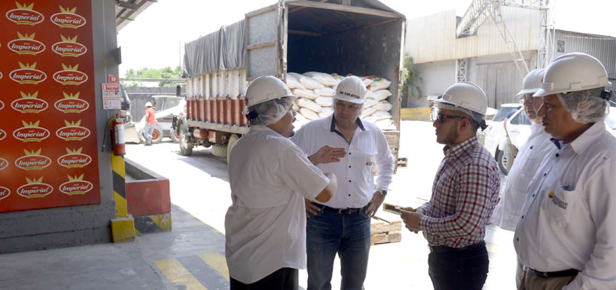 Arroceros y funcionarios del Gobierno recorrieron ayer piladoras en Guayas para constatar el proceso de industrializaci&oacute;n de la gram&iacute;nea. 