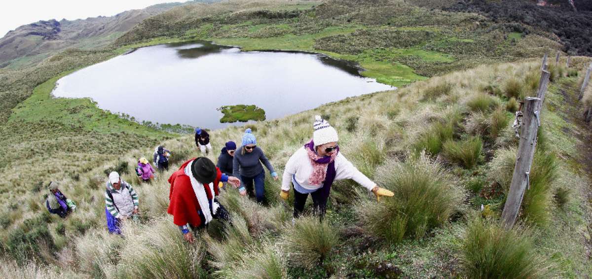 El proyecto de reforma a la Ley Org&aacute;nica del Servicio P&uacute;blico y al C&oacute;digo del Trabajo busca fomentar el desarrollo del turismo en el territorio nacional.