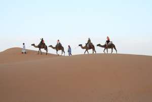 Esto se conoce sobre las fuertes lluvias en el desierto del Sahara.
